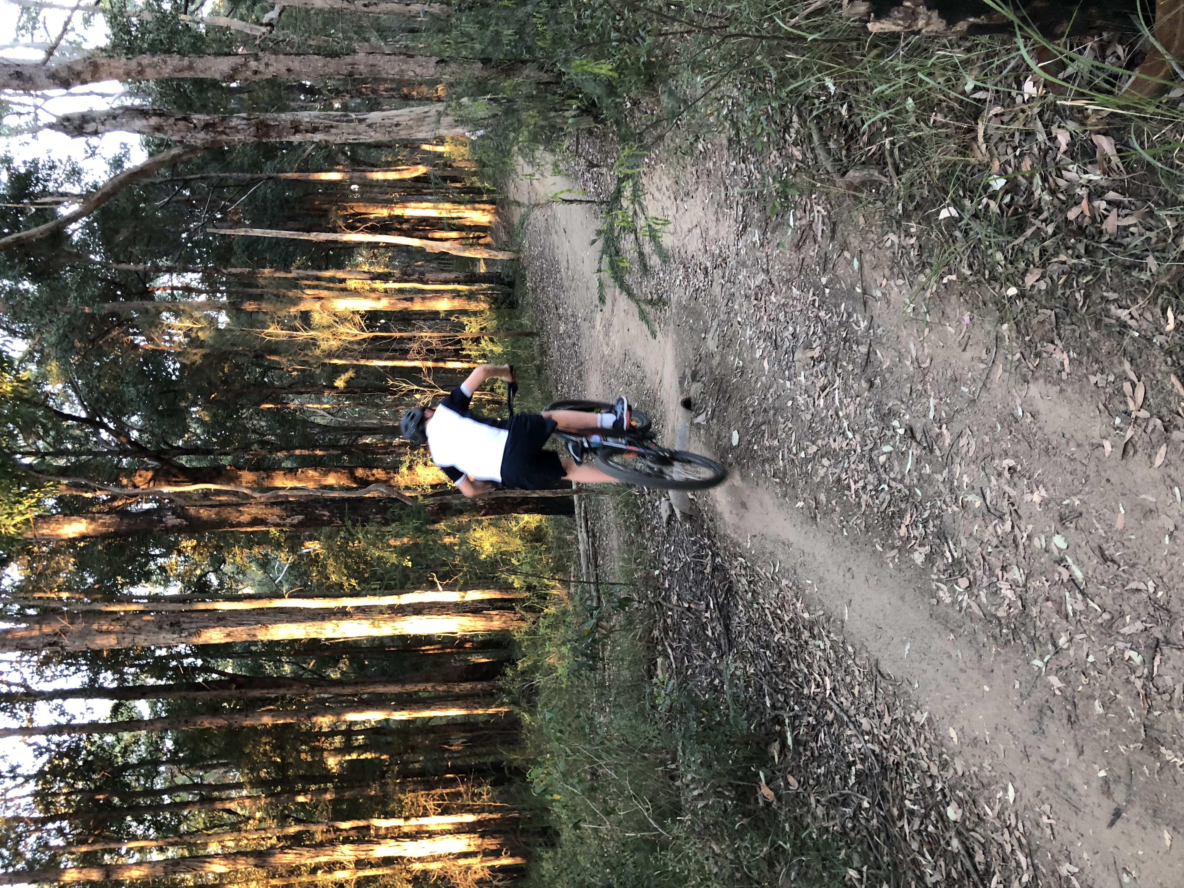 Hire mountain bike near me best sale